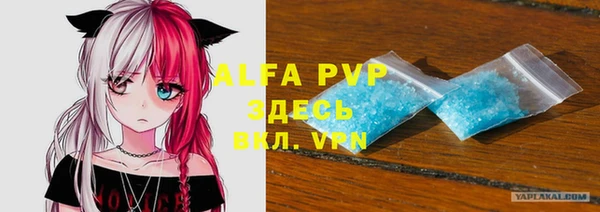 индика Кулебаки