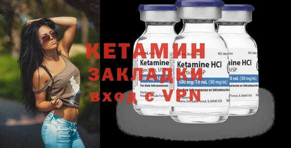 индика Кулебаки