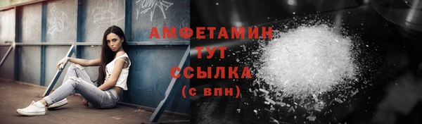 индика Кулебаки
