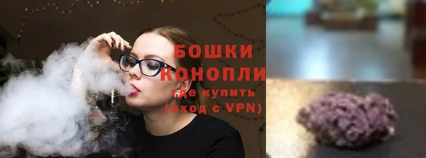 индика Кулебаки
