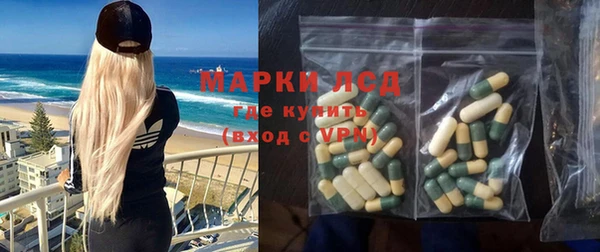 индика Кулебаки