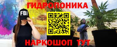 мяу мяу мука Лесосибирск