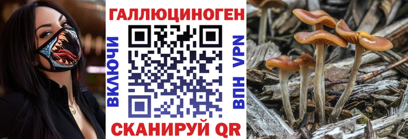 Псилоцибиновые грибы прущие грибы  Тверь 