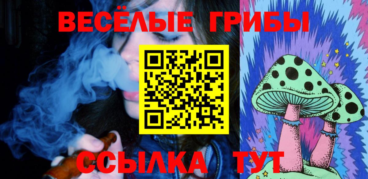 Псилоцибиновые грибы мухоморы Тверь