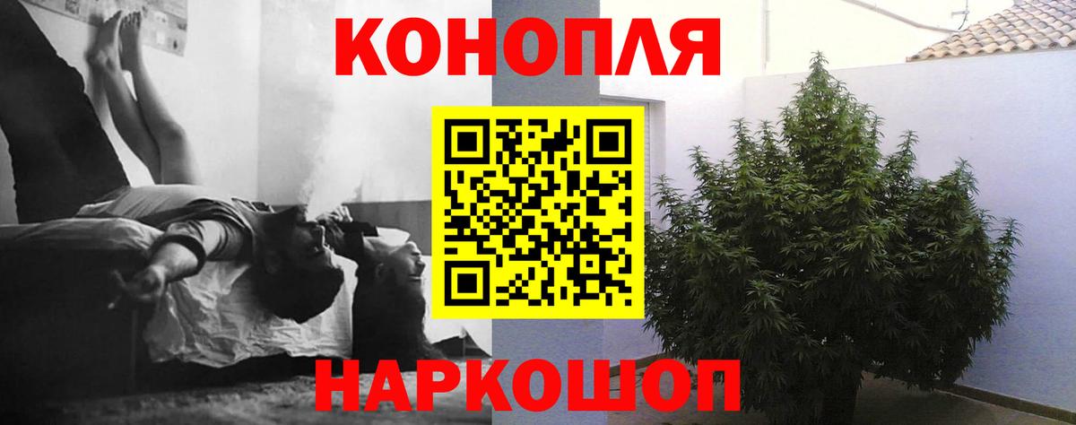 Конопля план Тверь